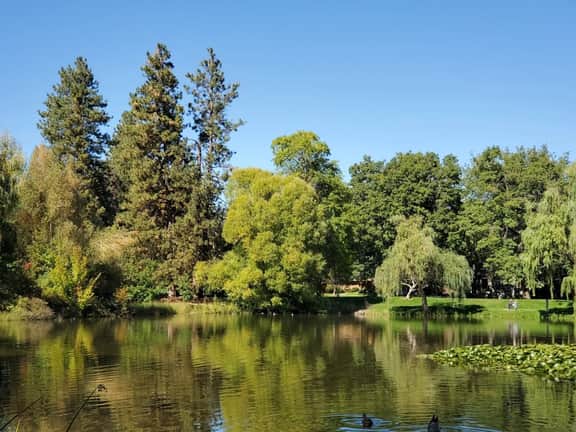 Peaceful South Hill Retreat near Manito & Downtown - Image 3